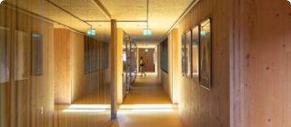 Sustainable Interior Materials Contractors Are Now Prioritizing