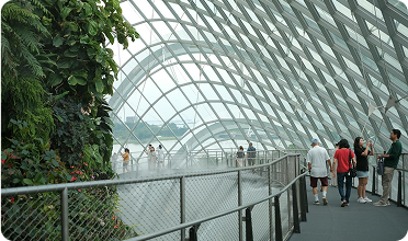 Multi-Billion US$ Construction Program