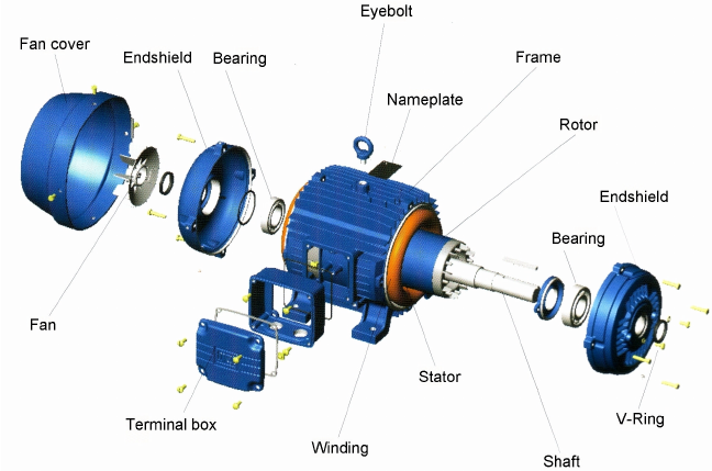 Electric Motor 