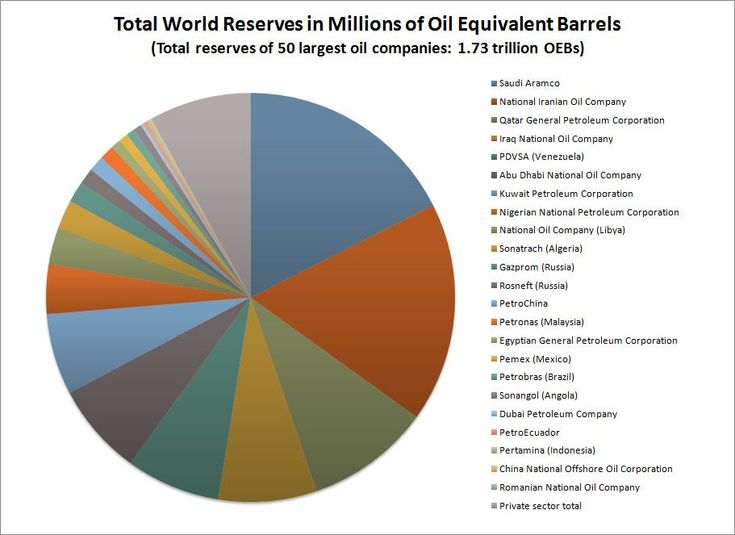 Largest Company